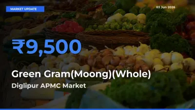 Top Performer! Diglipur APMC Offers Best Green Gram(Moong)(Whole) Price Today