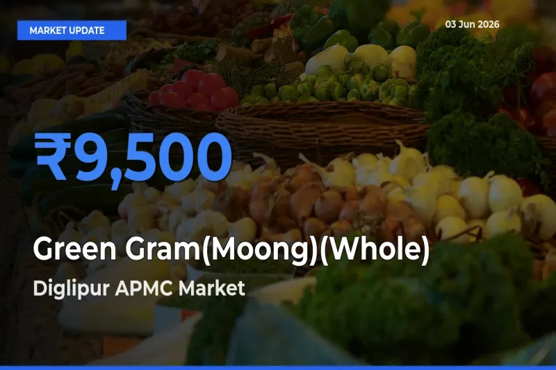 Top Performer! Diglipur APMC Offers Best Green Gram(Moong)(Whole) Price Today