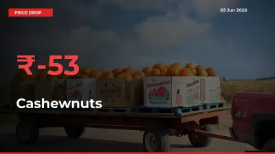 This Mandi Records 53.19% Fall in Cashewnuts Prices