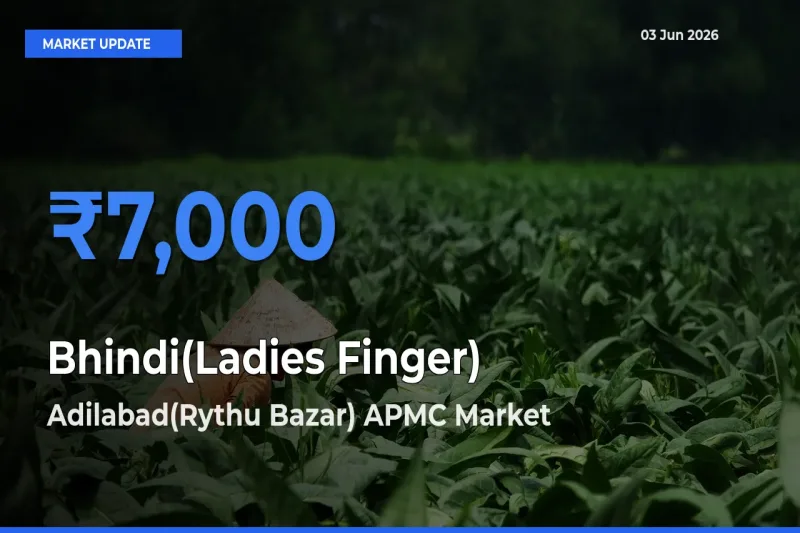 Adilabad(Rythu Bazar) APMC Tops Bhindi(Ladies Finger) Mandi Rates Today