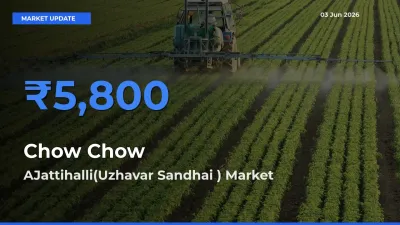 AJattihalli(Uzhavar Sandhai ) Offers ₹5,800 – Highest Chow Chow Rate Today