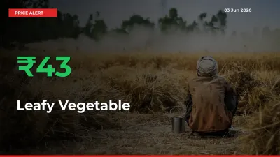 Leafy Vegetable Rises 42.67% at Mandis