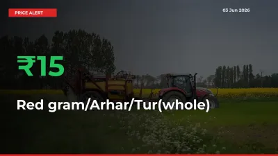 15.45% Spike in Red gram/Arhar/Tur(whole) Prices – Mandi Sees Sudden Rally