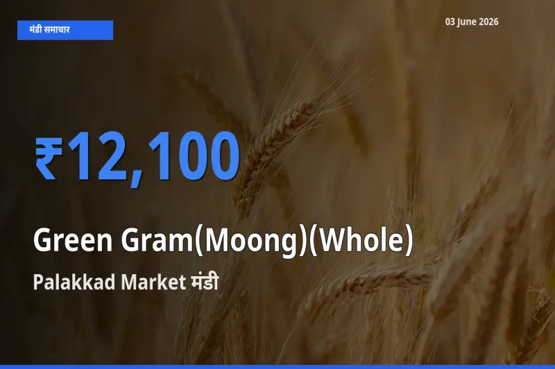 Palakkad Market मंडी में आज साबुत मूंग के सबसे ऊँचे दाम दर्ज