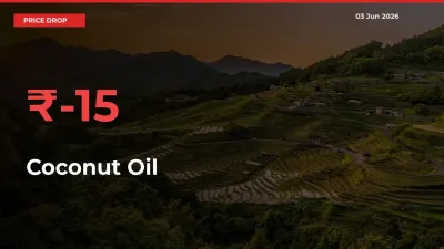 15.47% Drop in Coconut Oil Prices – Mandi Sees Sudden Fall