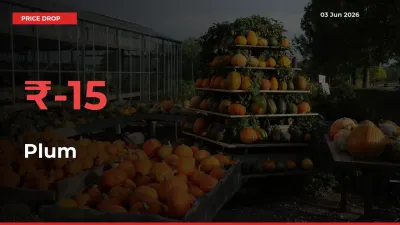 Plum Prices Drop 15.21% in 24 Hours at Major Mandis