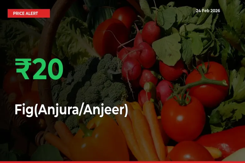 Fig(Anjura/Anjeer) Rises 20% at Mandis