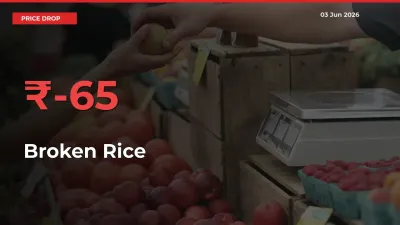 This Mandi Records 65.34% Fall in Broken Rice Prices