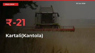 Why Kartali(Kantola) Prices Fell 21.27% in a Day at Mandis