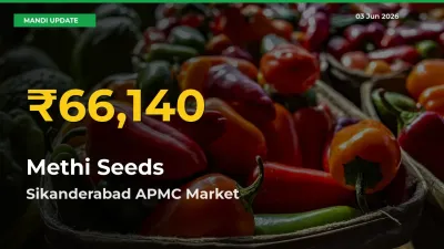 Methi Seeds Price Hits New High in Sikanderabad APMC Today – Check Latest Mandi Rates