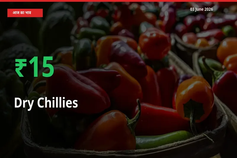 बाज़ार संकेत: सूखी लाल मिर्च के भाव मंडी में 15.17% ऊपर