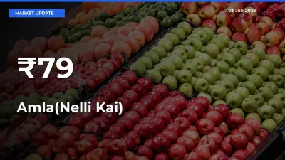 Amla(Nelli Kai) Trend Strengthens Across Major Mandis