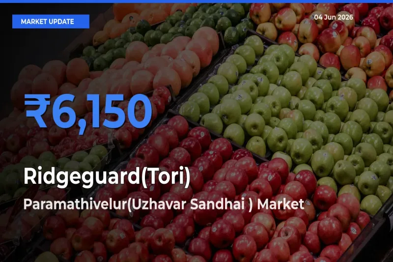 Paramathivelur(Uzhavar Sandhai ) Tops Ridgeguard(Tori) Rates – June 04 Market Update