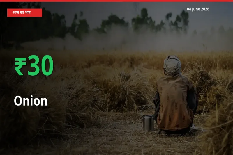 बाज़ार संकेत: प्याज के भाव मंडी में 30.46% ऊपर