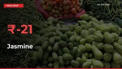 Jasmine Prices Drop 21.15% in 24 Hours at Major Mandis