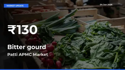 Bitter gourd Falls to ₹130 in Patti APMC – 30-Day Lowest Rate