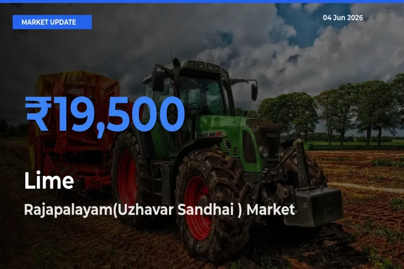 Rajapalayam(Uzhavar Sandhai ) Tops Lime Rates – June 04 Market Update