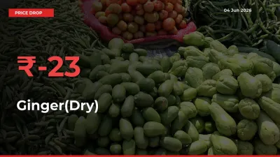 Ginger(Dry) Falls 23.22% at Mandis