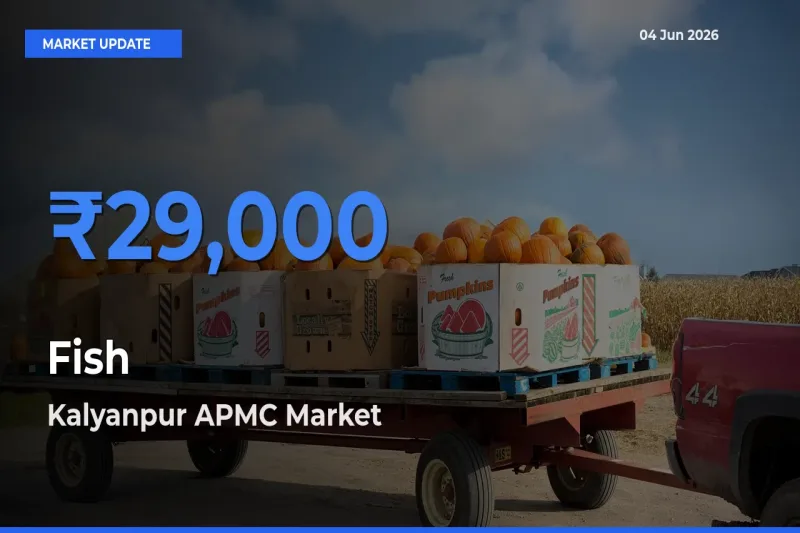Kalyanpur APMC Leads as Top Mandi for Fish Prices