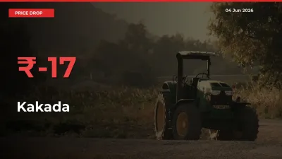 Kakada Prices Drop 17.27% in 24 Hours at Major Mandis