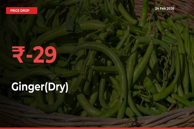 Farmers Alert as Ginger(Dry) Prices Slide 29.39% in Local Mandis