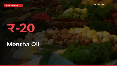 Sudden Shock! Mentha Oil Drops 20.22% in 24 Hours at Top Mandis