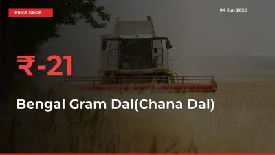 Bengal Gram Dal(Chana Dal) Falls 21.28% at Mandis
