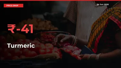 Farmers Alert as Turmeric Prices Slide 40.82% in Local Mandis