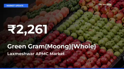 Sharp Fall! Green Gram(Moong)(Whole) Prices Drop to 30-Day Low in Laxmeshwar APMC