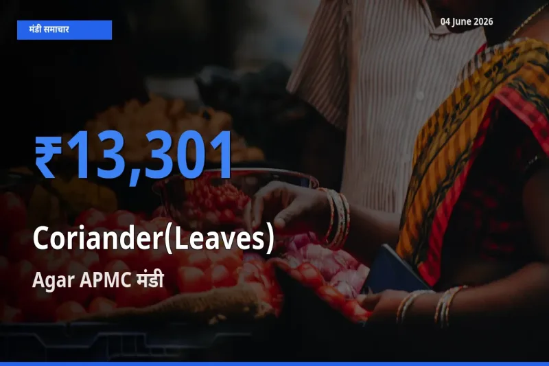 बाज़ार संकेत: Agar APMC बना हरा धनिया के लिए आज की टॉप मंडी
