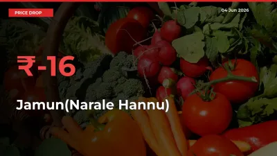 Sharp Fall! Jamun(Narale Hannu) Prices Plunge 15.59% in a Day at Key Mandis