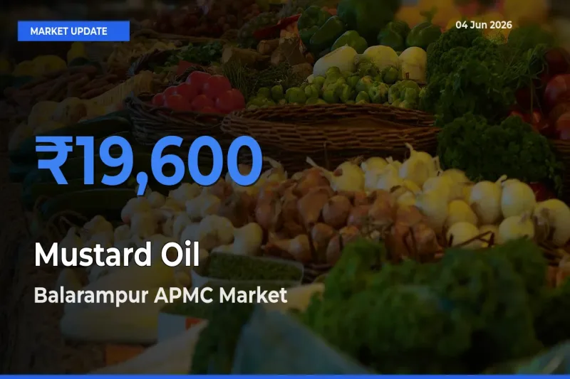 Top Performer! Balarampur APMC Offers Best Mustard Oil Price Today