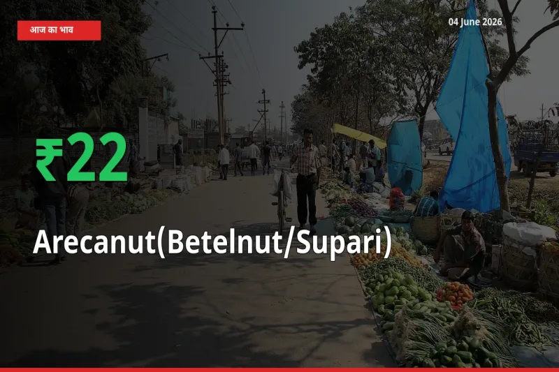 सुपारी 21.8% उछला, मंडी