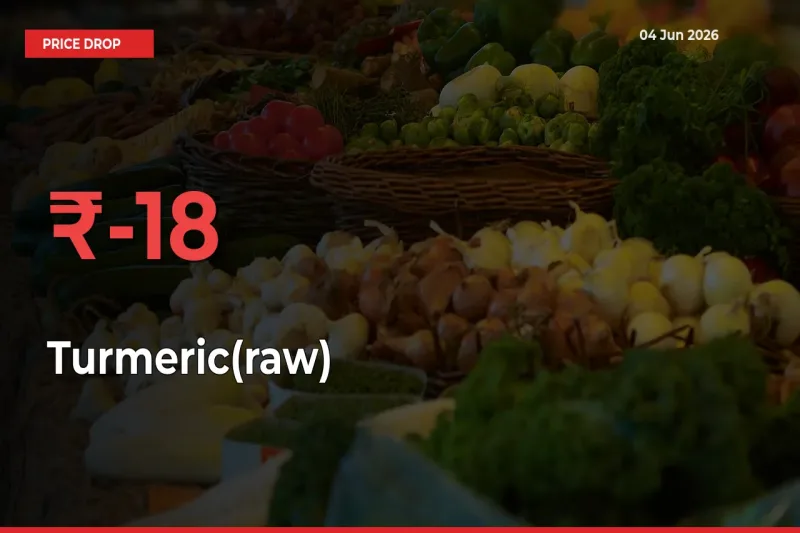 Turmeric(raw) Prices Drop 17.5% in 24 Hours at Major Mandis