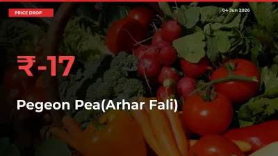 Pegeon Pea(Arhar Fali) Falls 16.72% at Mandis