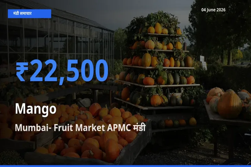 Mumbai- Fruit Market APMC मंडी में आम ₹22,500 पर पहुँचा – आज का सर्वोच्च भाव
