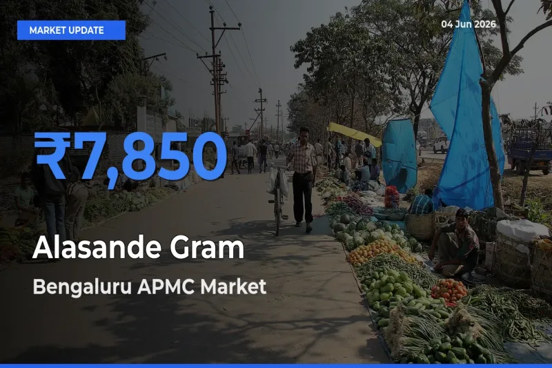 Bengaluru APMC Tops Alasande Gram Rates – June 04 Market Update