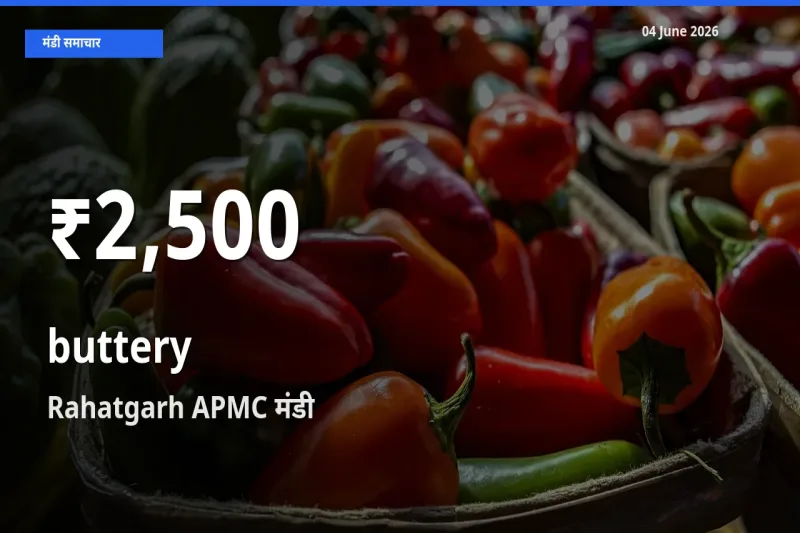 कोमलता से के दामों में गिरावट, Rahatgarh APMC में 30 दिन का न्यूनतम भाव