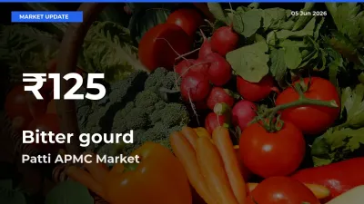 Bitter gourd Falls to ₹125 in Patti APMC – 30-Day Lowest Rate
