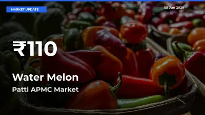 Water Melon Mandi Rate Today: 30-Day Low Recorded in Patti APMC