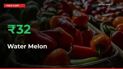 Farmers Cheer as Water Melon Prices Surge 31.62% in Local Mandis