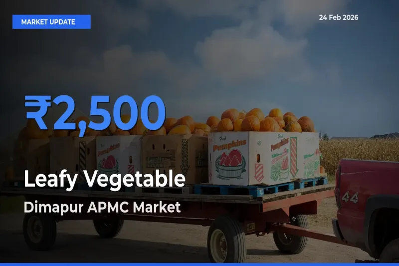 Dimapur APMC Emerges as Top Mandi for Leafy Vegetable Prices Today