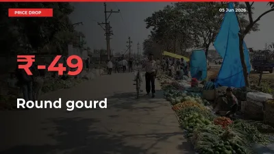 This Mandi Records 49.03% Fall in Round gourd Prices