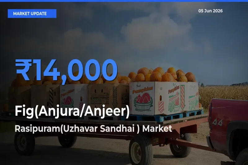 Rasipuram(Uzhavar Sandhai ) Tops Fig(Anjura/Anjeer) Rates – June 05 Market Update