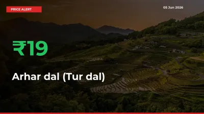 Arhar dal (Tur dal) Rises 19.11% at Mandis