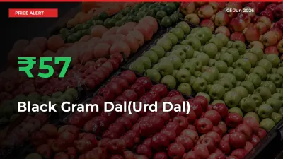 Sudden 57.08% Rally in Black Gram Dal(Urd Dal) Prices Across Mandis