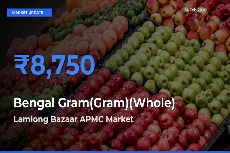 Lamlong Bazaar APMC Tops Bengal Gram(Gram)(Whole) Mandi Rates Today