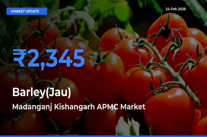 Madanganj Kishangarh APMC Tops Barley(Jau) Mandi Rates Today