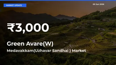 Sharp Fall! Green Avare(W) Prices Drop to 30-Day Low in Medavakkam(Uzhavar Sandhai )