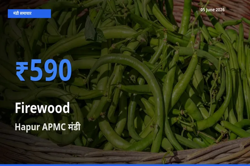 05 June अपडेट: जलावन लकड़ी के सबसे ऊँचे दाम Hapur APMC मंडी में